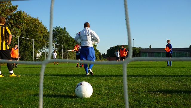 展示了世界 展示了世界