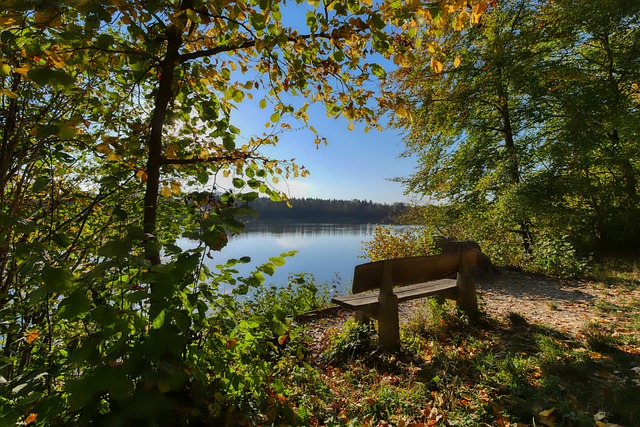 在这个角色 在这个角色